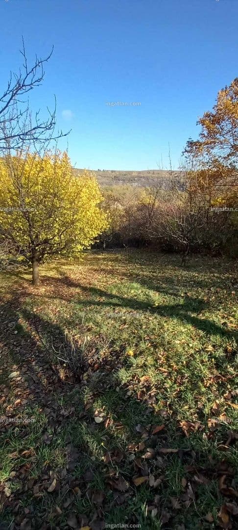 Zöldövezeti építési telek Gyükésben 3